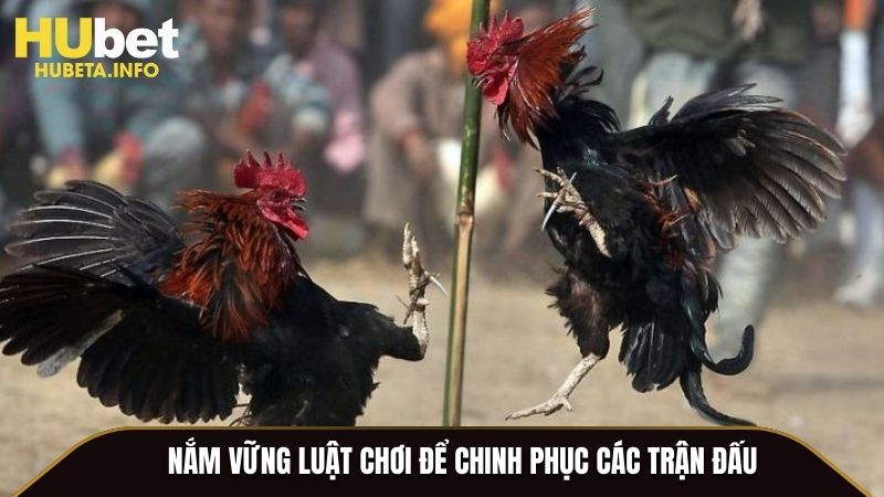 Nắm vững luật chơi để chinh phục các trận đấu