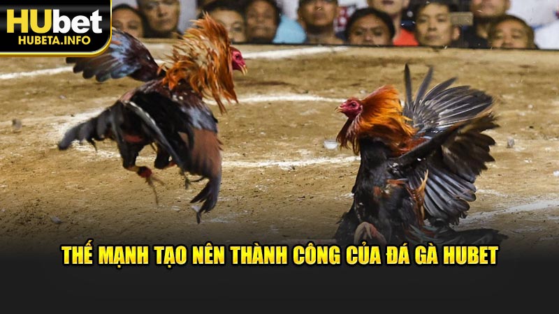 Thế mạnh tạo nên thành công của đá gà HUBET